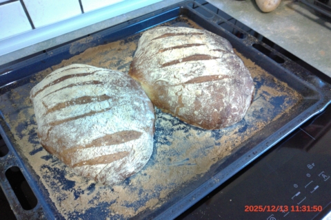 Fertig gebackenes Dinkel-Bauernbrot